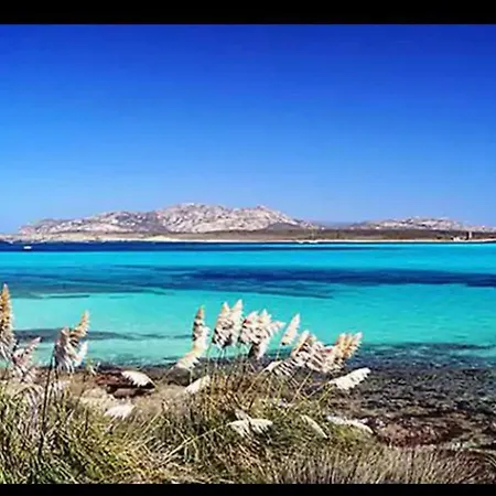 Casa Vacanze Il Girasole A Stintino